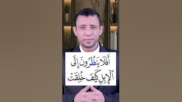 أفلا ينظرون إلى الإبل كيف خلقت تعلم القراءة والنطق الصحيح وتعلم سورة الغاشية