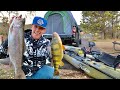 Catch Cook and Camp HIGH Mountain Reservoir! JUMBO PERCH! (Personal Best)