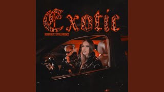 Exotic (feat. Stolearenco)