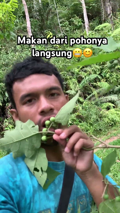Makan cepoka🍈. #shorts #nature #makancepoka #fruit  #viral