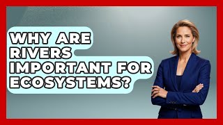 Why Are Rivers Important for Ecosystems? | Water Science For Everyone News