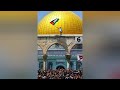 فلسطيني بدون موسيقى فلسطيني بدون موسيقى