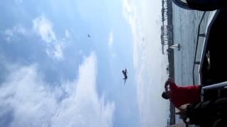 Boston Harbor Flyover