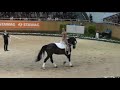 Sabine Kuntner und Crossino beim CHIO Aachen 2017