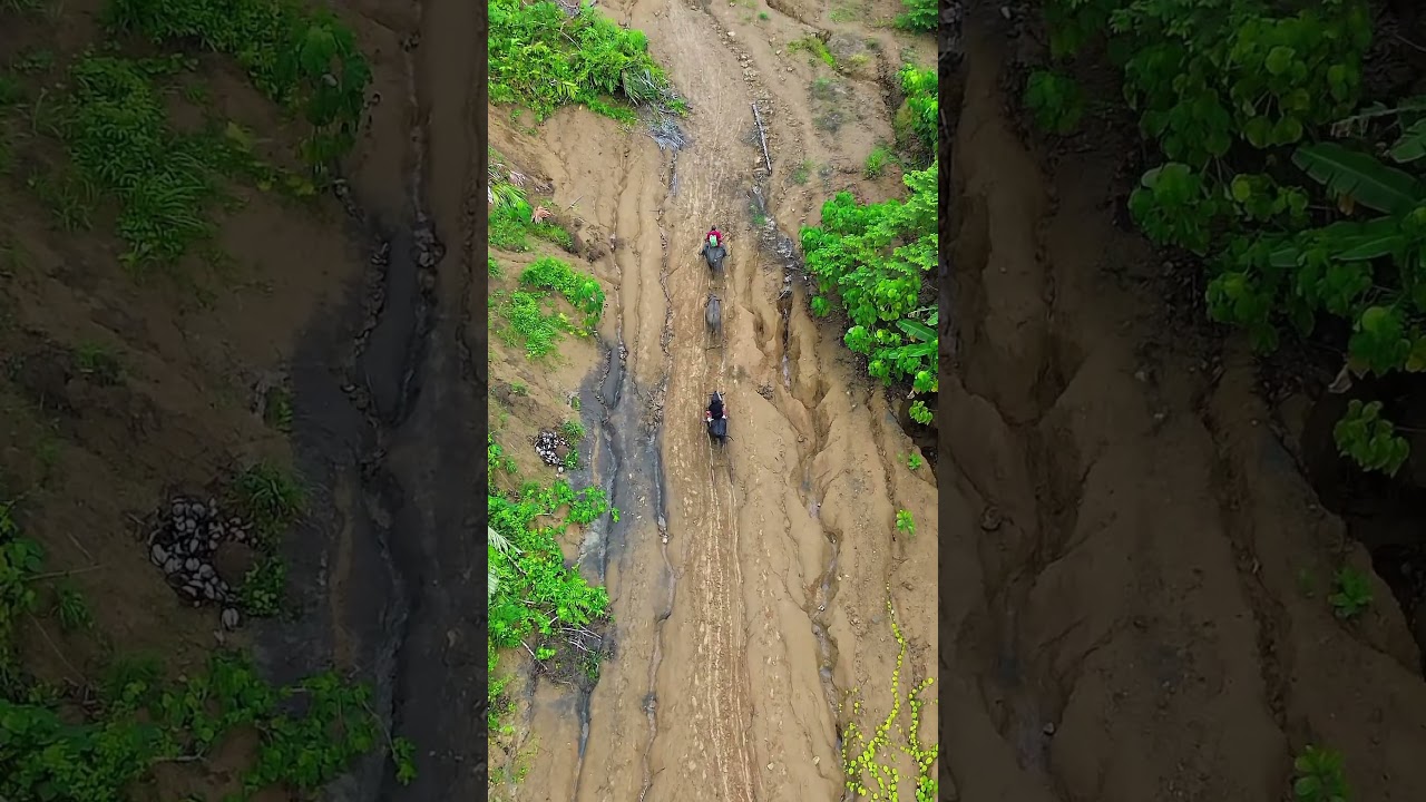 Update ng Lopez to Macalelon Project Road 