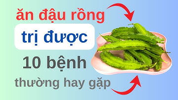 Khám Phá 10 Lợi Ích Khi Ăn Đậu Rồng Mỗi Ngày – Bí Quyết Sống Khỏe, Sống Thọ