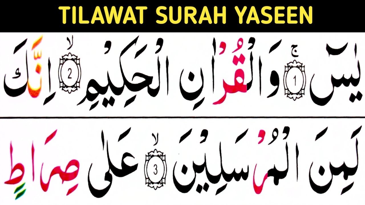 Tilawat Surah Yaseen Word By Word  / Surah Yasin easy way / Learn Quran Easily At Home