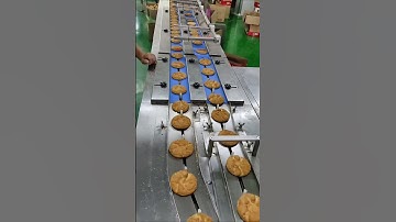Do you agree that it is a very clean biscuit packing machine?#machine #biscuit #food #packingmachine
