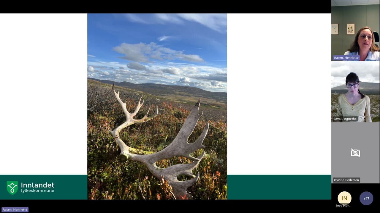 Webinar - Samisk arkeologi i Innlandet
