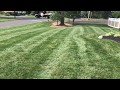 How to Get a Greener Lawn