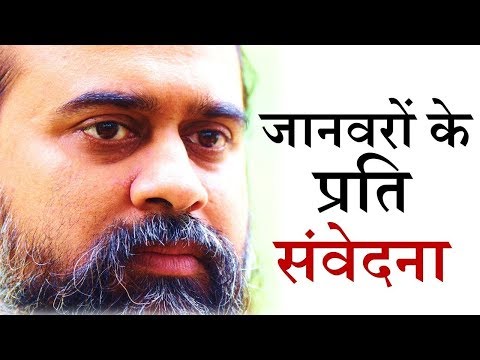 वीडियो: जानवरों के लिए आवास क्यों महत्वपूर्ण है?