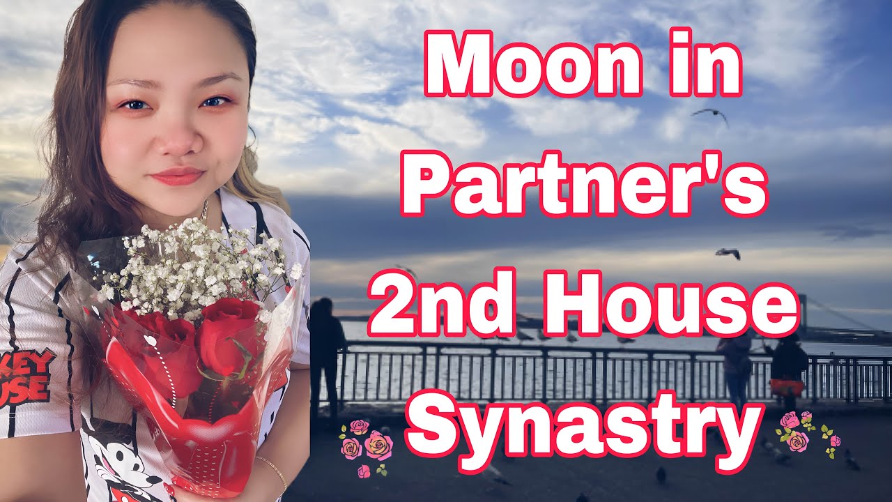 MOON IN PARTNER'S 2nd HOUSE SYNASTRY synastry moon astrology 