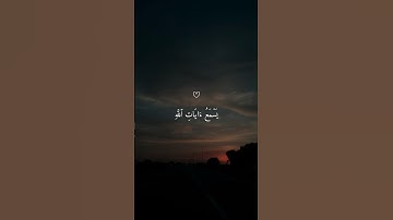اكتب شيء تؤجر عليه ♡ | #ماهر_المعيقلي #تلاوة_هادئة