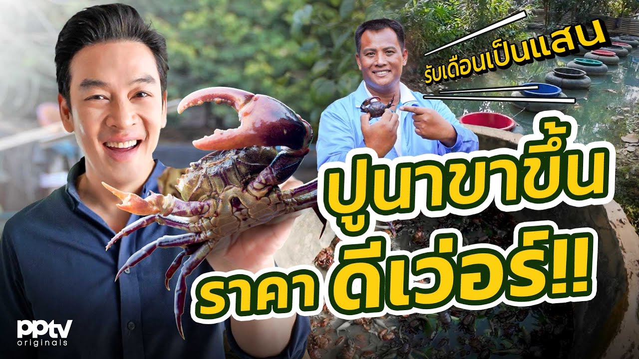 เคล็ดลับสร้างเงินล้านด้วยฟาร์มปูนาแปรรูป | คริตมาแล้ว | Full EP