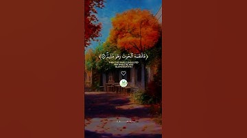 سورة الصافات _ " 139  --  147 "  🕋