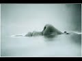 Joy Zipper - Alzheimers