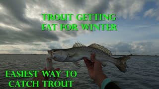 Easiest way to catch Speckled Trout in Texas - Trout Getting Fat for Winter