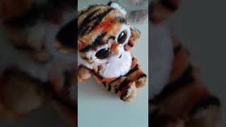 Sardines With Rockey Part 2