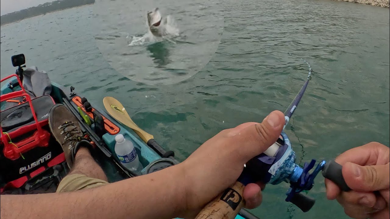 I used a Berkley Swimbait LURE when FINDING schools of Fish!!!