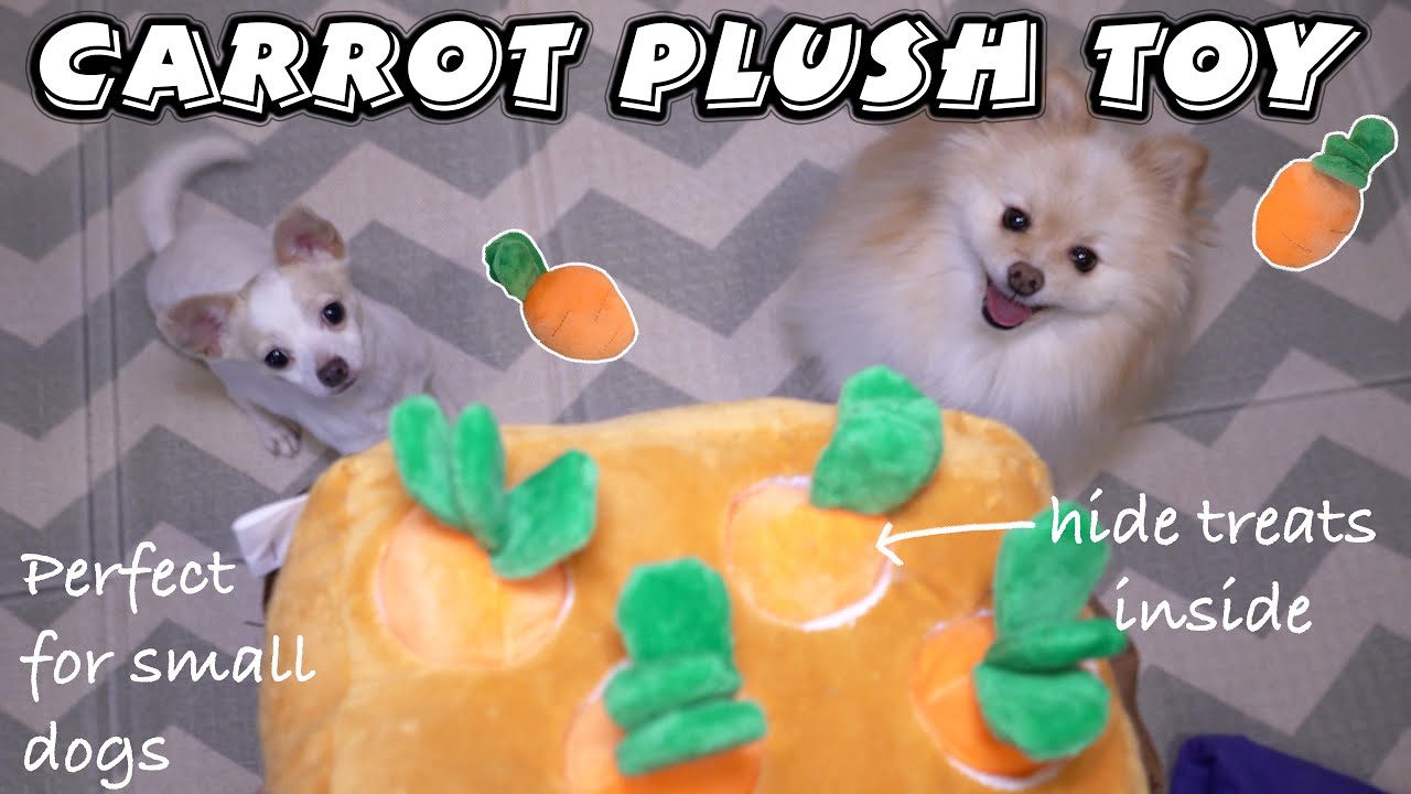 Get this Carrot Farm Toy to keep your dog entertained!!🐶🐾