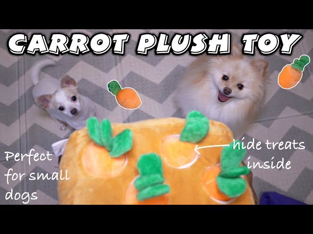 Get this Carrot Farm Toy to keep your dog entertained!!🐶🐾