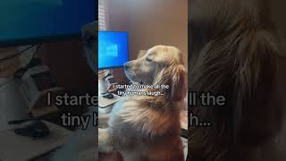 Who wants to be in Buddy’s class? #dogvideos #naughtydog #zoomdog #funnydogs #storytime