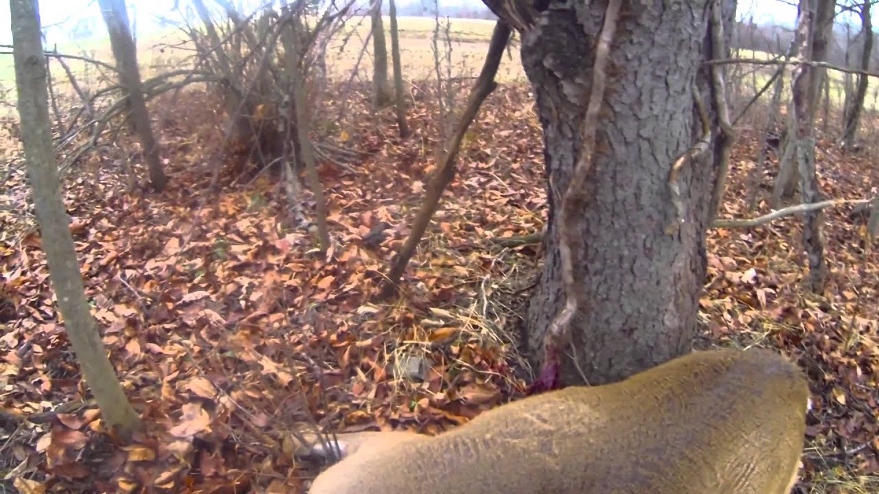 GoPro Deer Hunting Michigan - YouTube