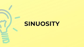 What is the meaning of the word SINUOSITY?