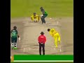 Pakistani wickets against australia iftikharahmad ausvspak2022 wicket