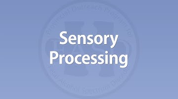 Sensory Processing