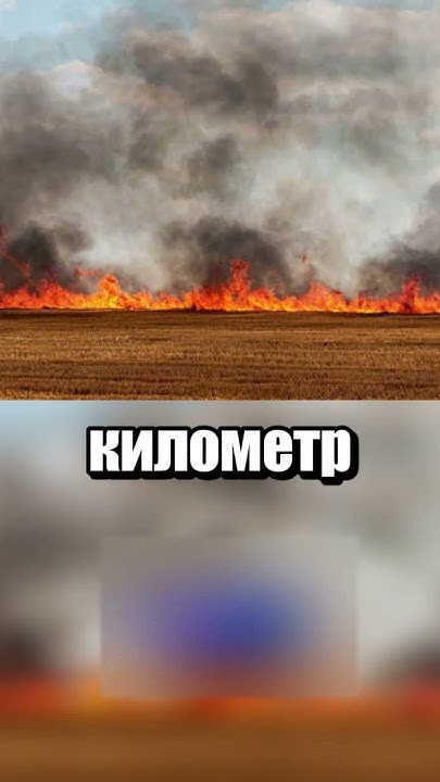 Самая неудачная операция США по борьбе с запрещёнными веществами - YouTube