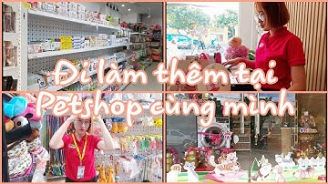 Một ngày làm thêm tại Petshop có gì vui? 😊 trải nghiệm đi làm thêm cùng mình✌ Sinh viên năm cuối