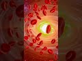#circulatory system #Red blood cells#Biology#science#human physiology#human #B.sc#class12 #blood