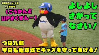 つば九郎 今日も始球式でキッズの前でボールから守る！ 2024/6/30 vs