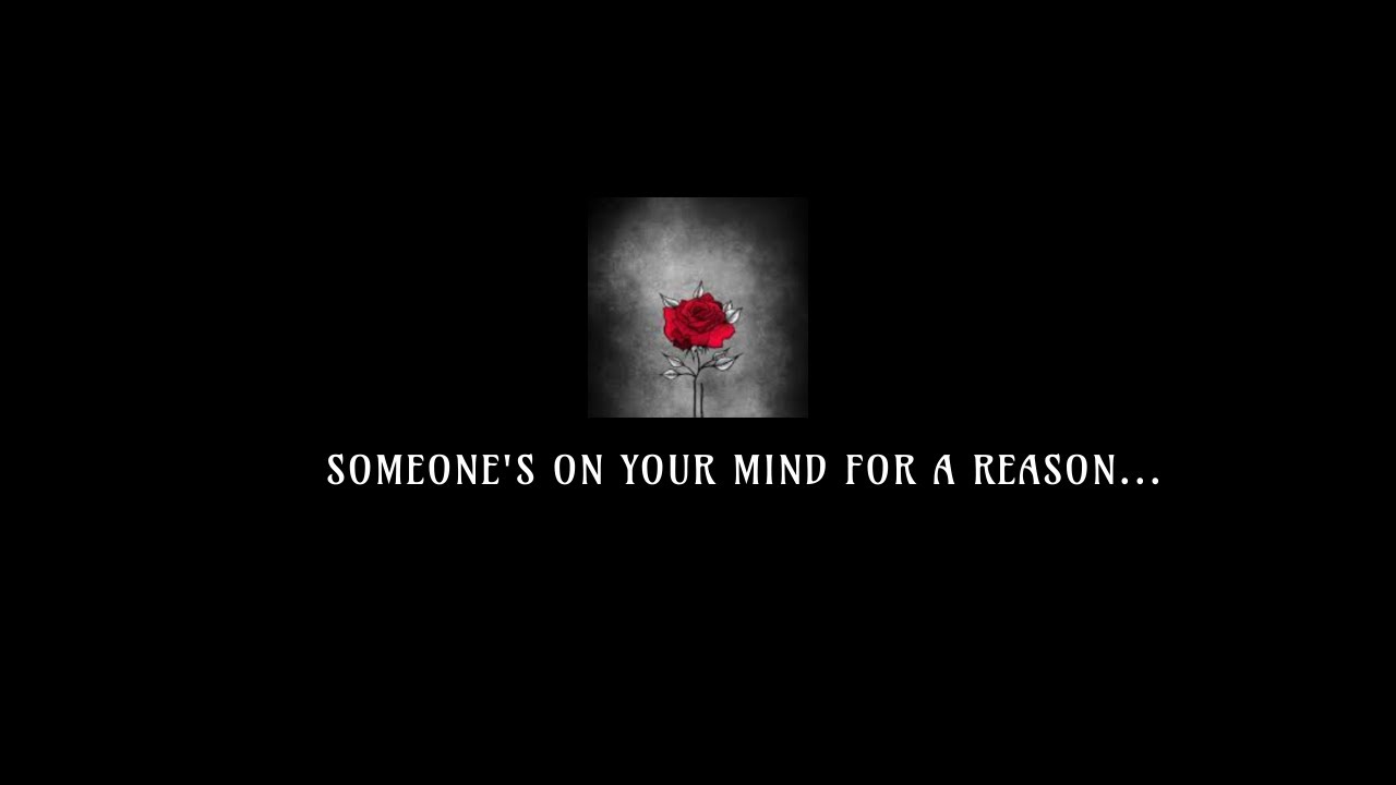 SCORPIO - A MESSAGE REGARDING THE PERSON ON YOUR MIND 💬❤️ TIMELESS READING