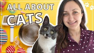 Crazy for CATS 🐈 || English Vocabulary Lesson || learn English with me and Marshall!