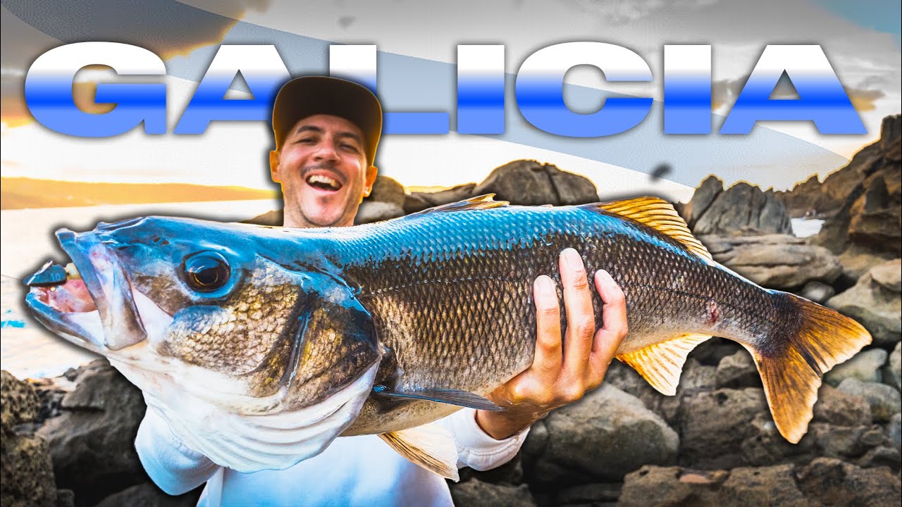 ¡Muchas ESPECIES! [GALICIA] 100% SIN INFORMACIÓN - Viaje Exploratorio | Lured Vlog 207