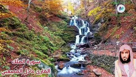 سورة الملك القارئ عادل حسين المصعبي