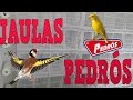 JAULAS PEDROS COMUNICABLES?