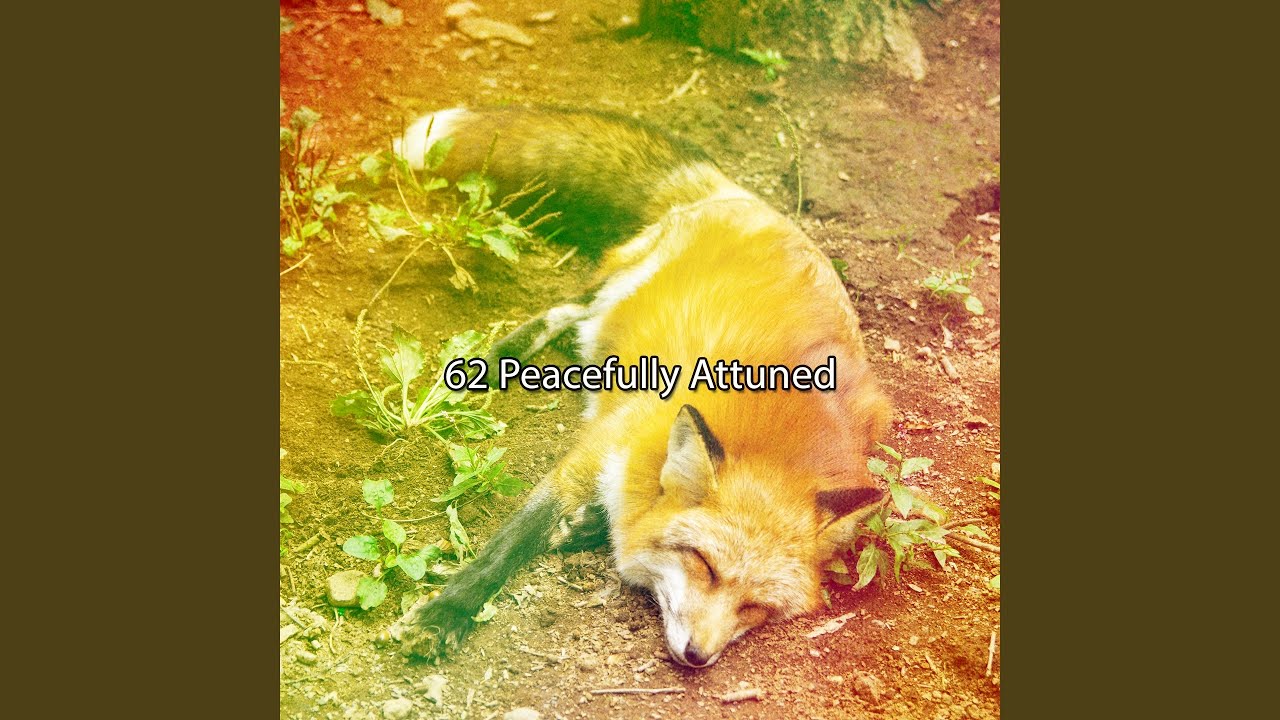 Natural Sleeping Ambience