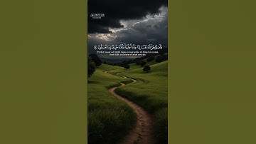 سورة المنافقون..اسلام صبحی #اكسبلور #القران #لايك #راحة_نفسية #duet