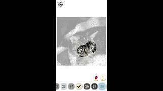 Camera Photos Colors Filled by Numbers-GamePlay Video-ios & Android screenshot 3