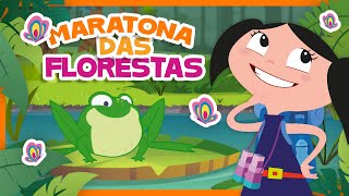 Maratona Das Florestas L O Show Da Luna