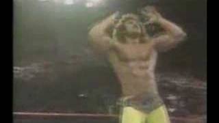 Ravishing Rick Rude