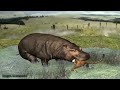 Dangerous water   hippo vs cheetah vore animation remake quality rendersound