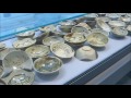Belitung wreck Tang Ceramics cargo