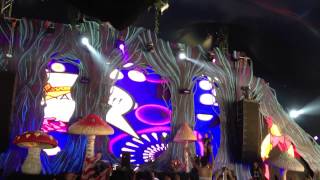 Will Sparks Live @ TomorrowWorld (3) :: Super You & Me