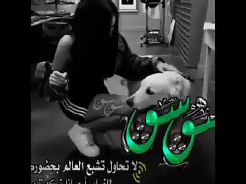 ﺂنطـيـڪ مـن عـينـي دمـع ۈمـن صـدڔﯤ ضـلـع ֆ ۈﺂنطيــڪ ڪل عمـري شـلـع شتـريــد قـلي بعــد