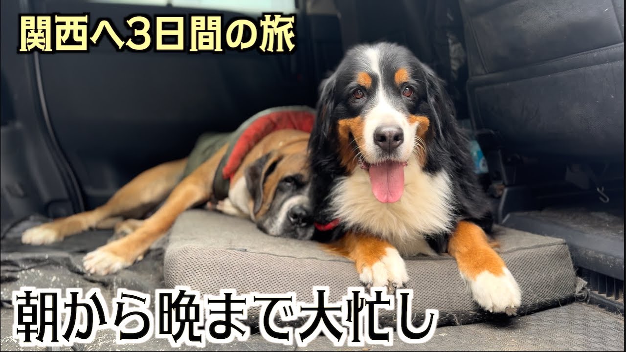 懐かしい友とたくさん会ってきた【関西へ旅】