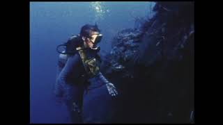 Woman Scuba Diving Coral Wall 1970